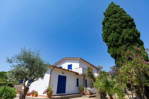 Villa Le Palme
