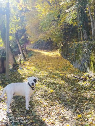 Apartamento Le Clos Du Bois Joli