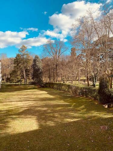 Apartamento Facult� M�decine, H�pitaux, Vinatier