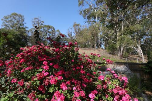 Apartamento City Escape Taroona