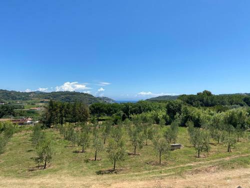 Apartamento Appartamenti Mirella