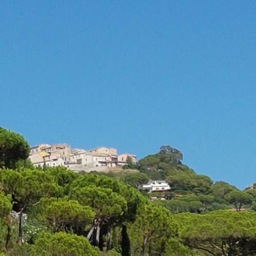 Apartamento Rosa Dei Venti Est