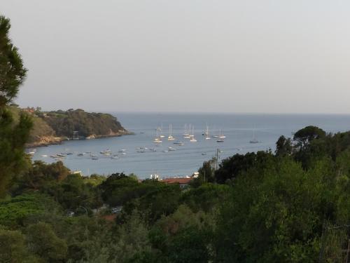 Apartamento Felciaio