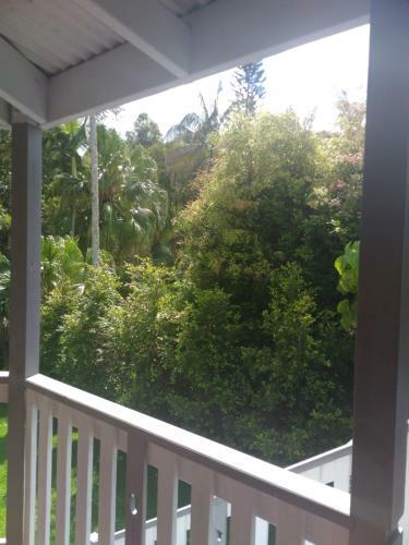 Near To Everything Yet In A Rainforest Setting