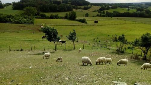 G�tes Du Cheval Blanc