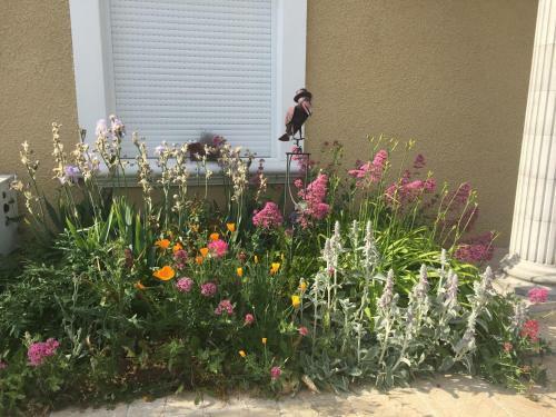 Bed & Breakfast Mille Et Une Bulles 51