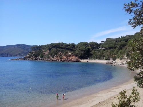 Apartamento Appartamento Il Mandorlo