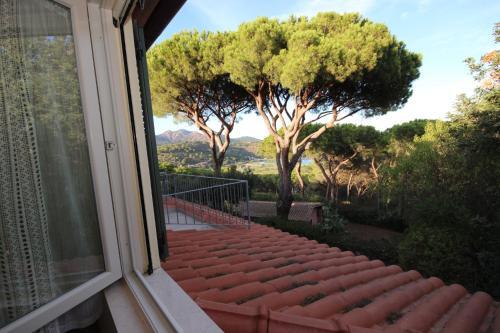 Apartamento Appartamento Il Mandorlo