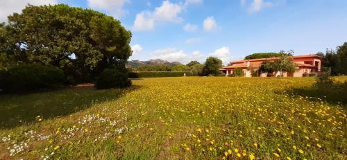 Apartamento Appartamento Il Mandorlo