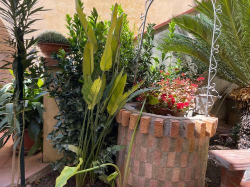 Apartamento Profumo D'arancio B&B A Pedalino