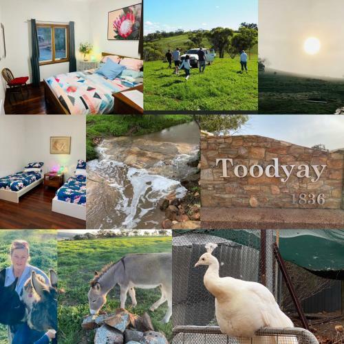 Sandalwood Downs Bed & Breakfast