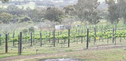 Valley View Cottage In The Picturesque Avon Valley