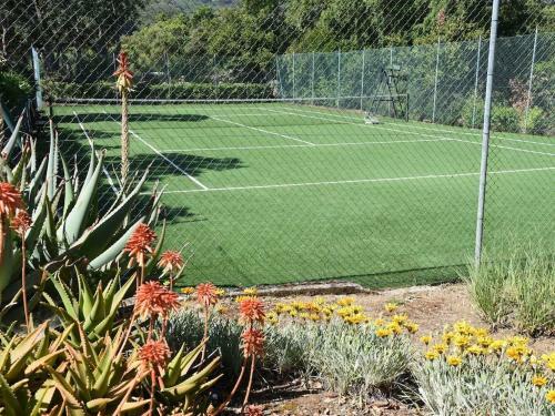 Scenic Holiday Home In Capoliveri With Swimming Pool