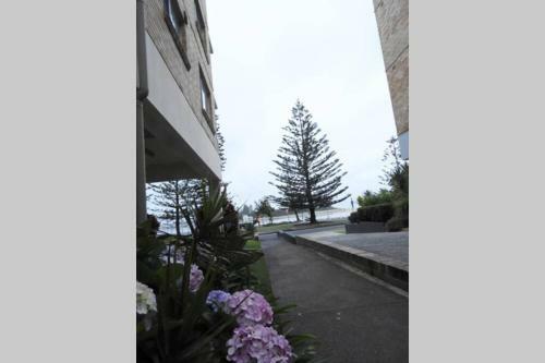 Digby's Place - Waterfront Apartment
