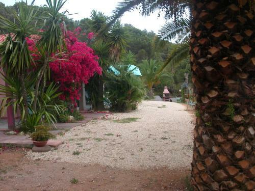 Apartamento Villa Perla