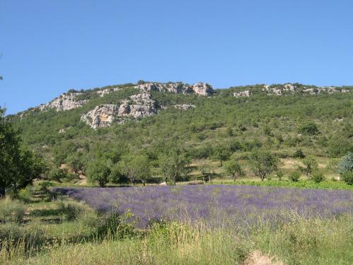 Domaine De Bois Joli