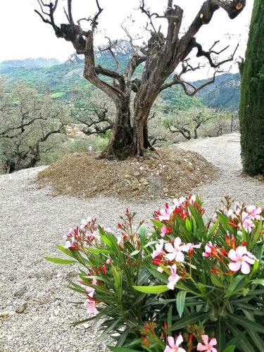 Bed & Breakfast Le Mas Christine