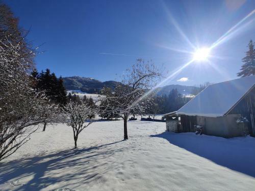 Apartamento G�te Vall�e Verte