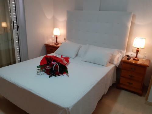 Apartamentos Turisticos Juanita "ope"