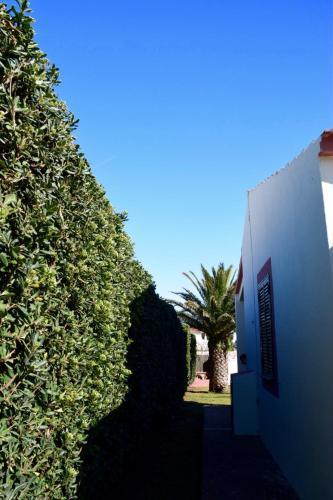 Bungalows Ses Malvas
