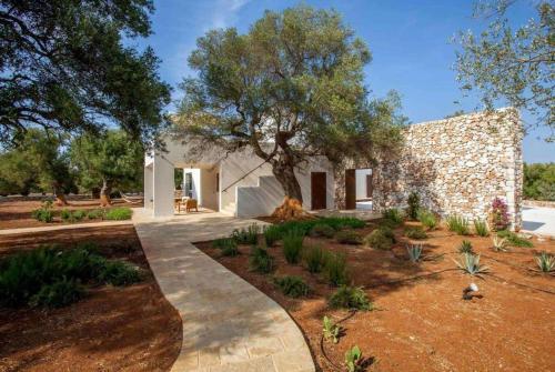 Villa Olive Oasis