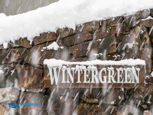 Wintergreen 5