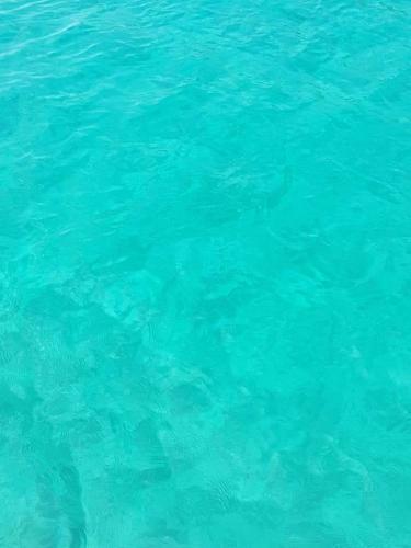 Apartamento Location Corse