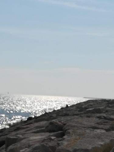 Apartamento Casamarin5