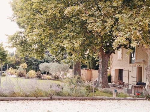 Gite Du Mas De La Fini�re