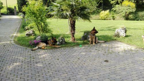 Bed & Breakfast Casina Belvedere