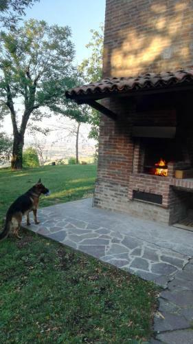 Bed & Breakfast Casina Belvedere