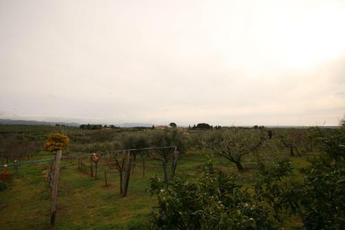 Apartamento Appartamento Von Vista Mare