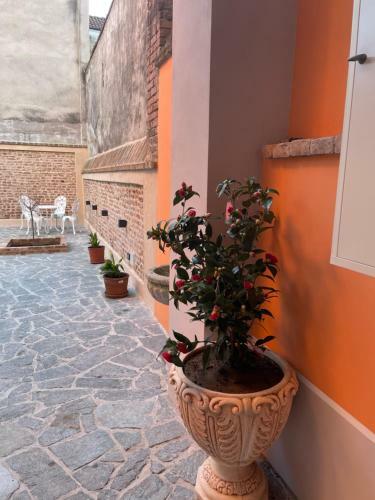 Apartamento Residenza Nikol