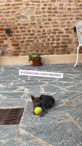 Apartamento Residenza Nikol Appartamento Giulia