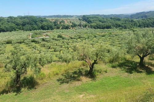 Casa In 8 Ettari Di Campagna, A 20' Dal Mare