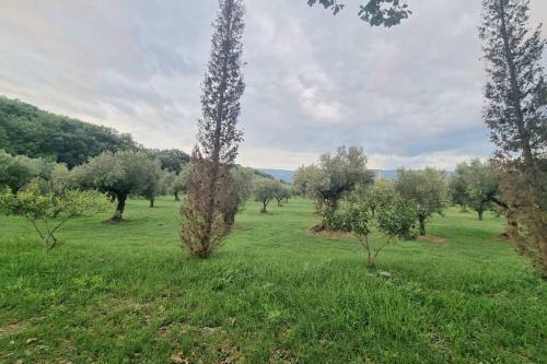 Casa In 8 Ettari Di Campagna, A 20' Dal Mare