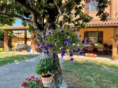 Bed & Breakfast Casa Bea Grado