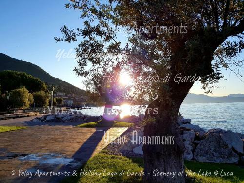 Yelay Apartments & Holiday Lago Di Garda