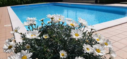 Apartamento Holiday House Raffa