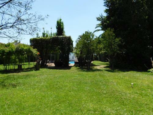 Apartamento Depandance Con Piscina Salata - Tulipano