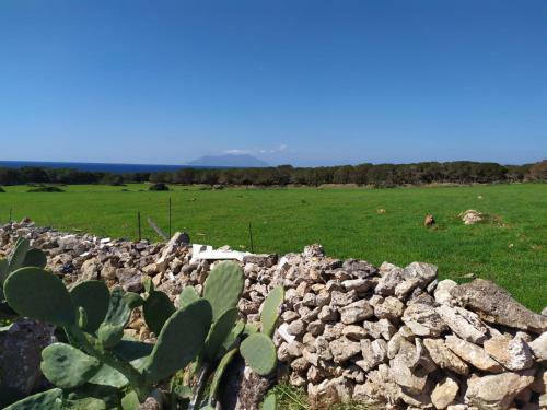 Casa Minerva Favignana -cala Rotonda