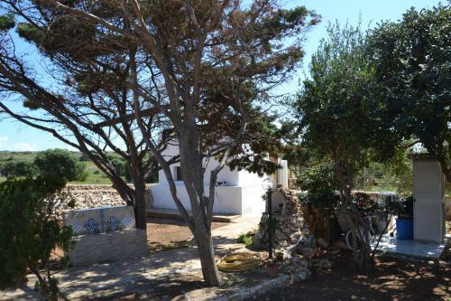 Casa Minerva Favignana -cala Rotonda