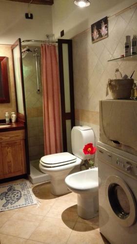 Apartamento Accogliente Appartamento A Parma
