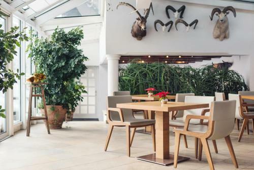 Hotel Hinterwies