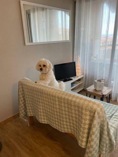 Apartamento Soleil Des Marquises