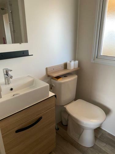 Locations Mobilhome Moderne 6/8 Personnes Dans Camping 4*