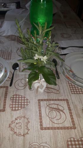 Apartamento B&B Nuzzi