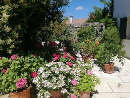 B&B Le Ortensie