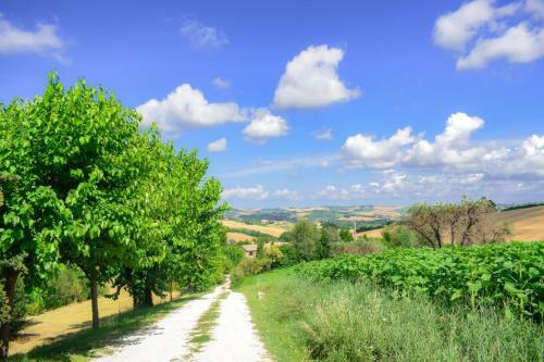 Apartamento Agriturismo Casale Civetta