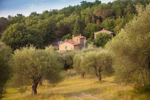 Podere Tepolino